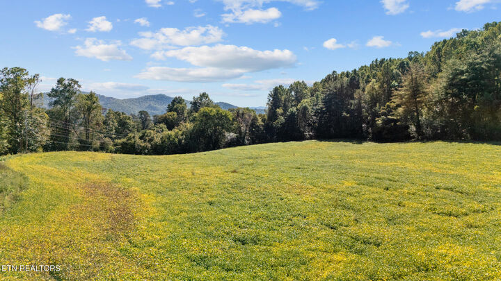 Property Photo: 0 Jones Cove Rd TN 37722