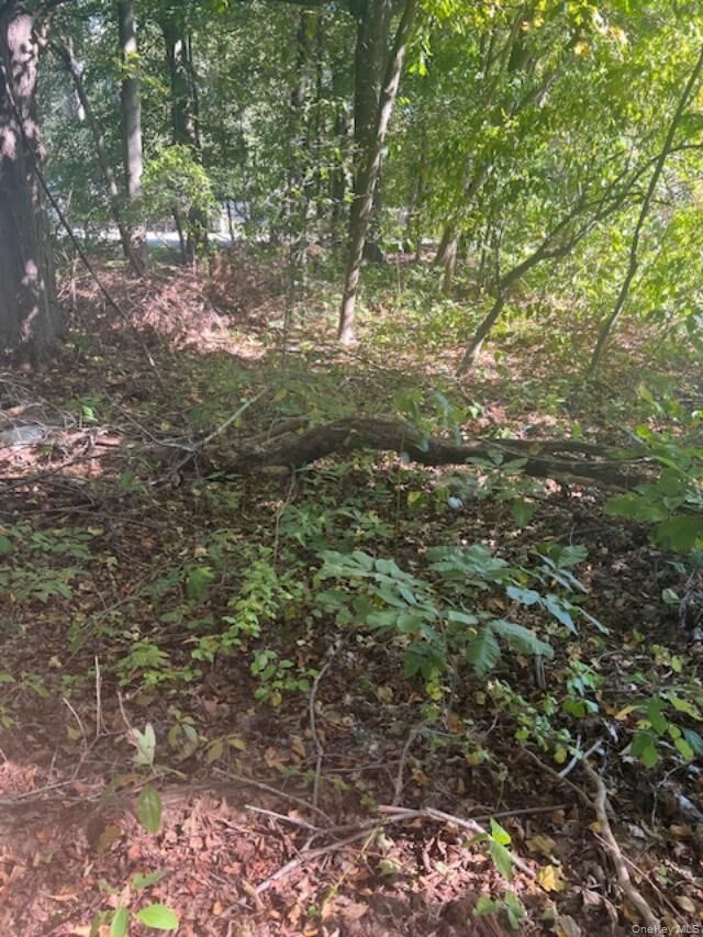 Property Photo:  Lot 54 Shady Brook Lane  NY 10567 