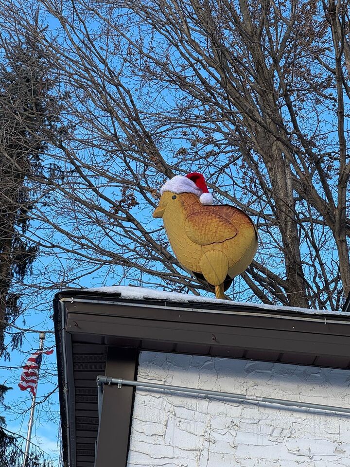 Property Photo:  304 Main Street S  MN 55376 