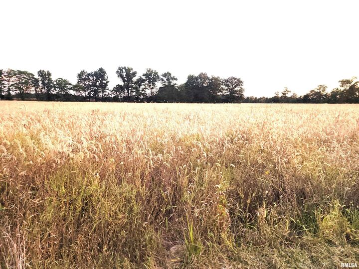 Property Photo:  1682 W Coon Creek Road  IL 62839 