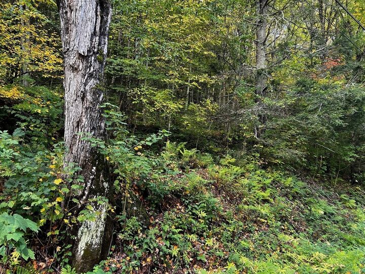 Property Photo: 0 W Hawley Rd MA 01339
