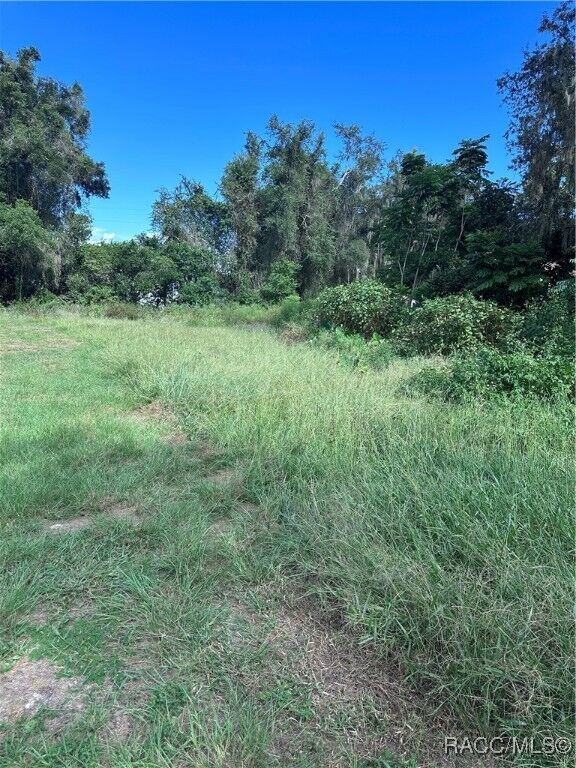 Property Photo:  3319 S Oakdale Terrace  FL 34452 