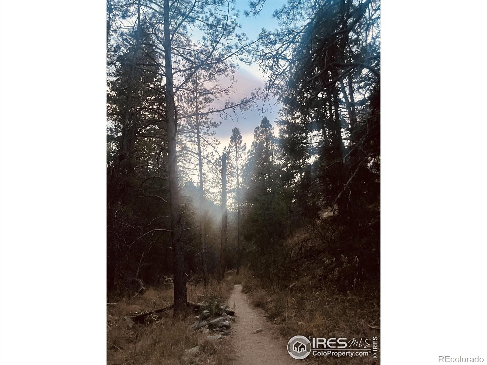 Property Photo:  1037 Wagonwheel Gap Road  CO 80302 