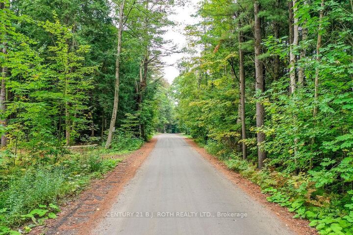 1019 Davis Drive  Gravenhurst ON P0E 1N0 photo