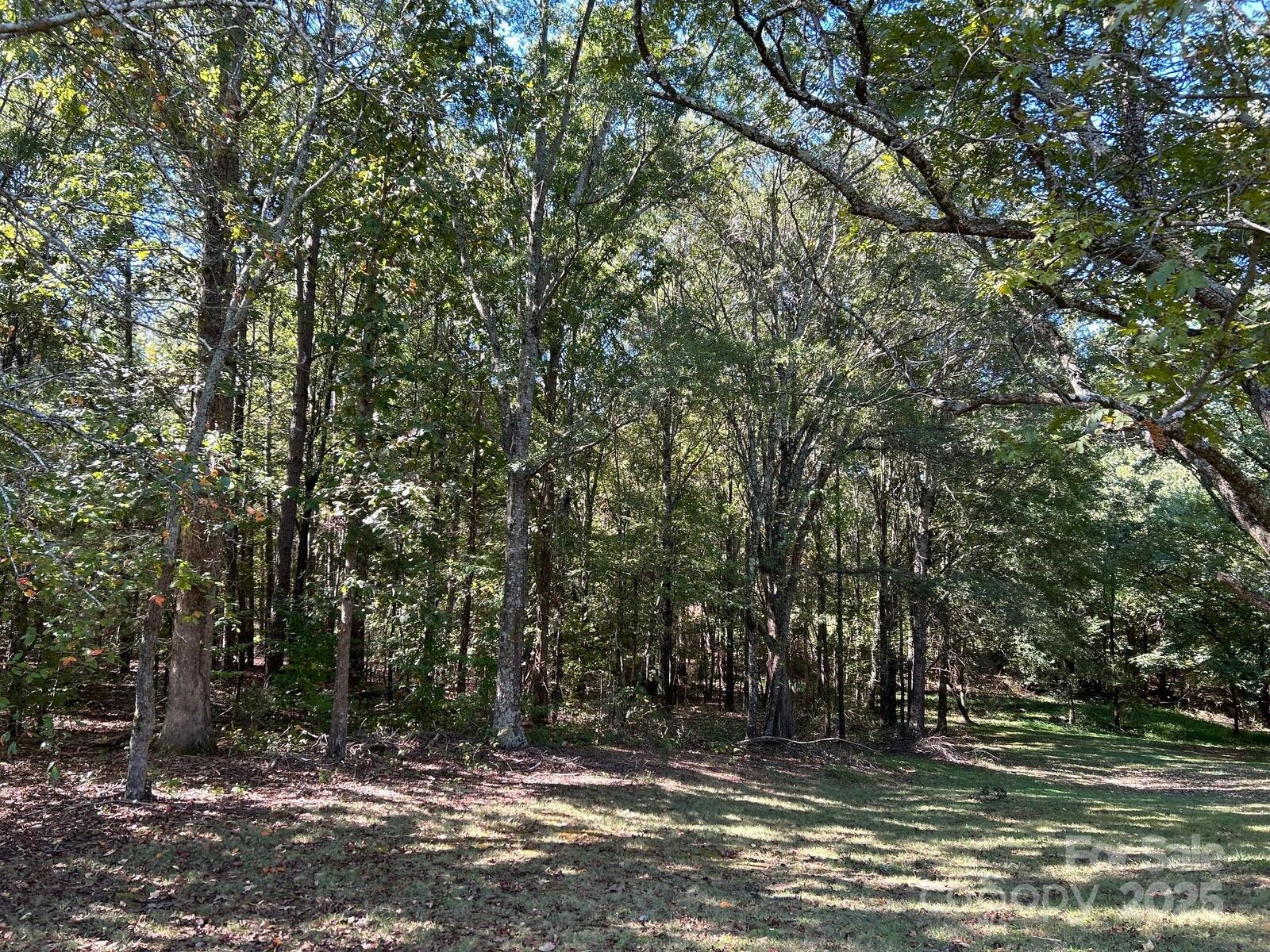 Property Photo: 0 Sorrow Farm Road NC 28081