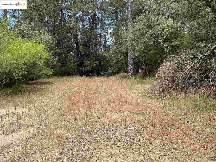 Property Photo: 11797 Rambler Rd. CA 95310