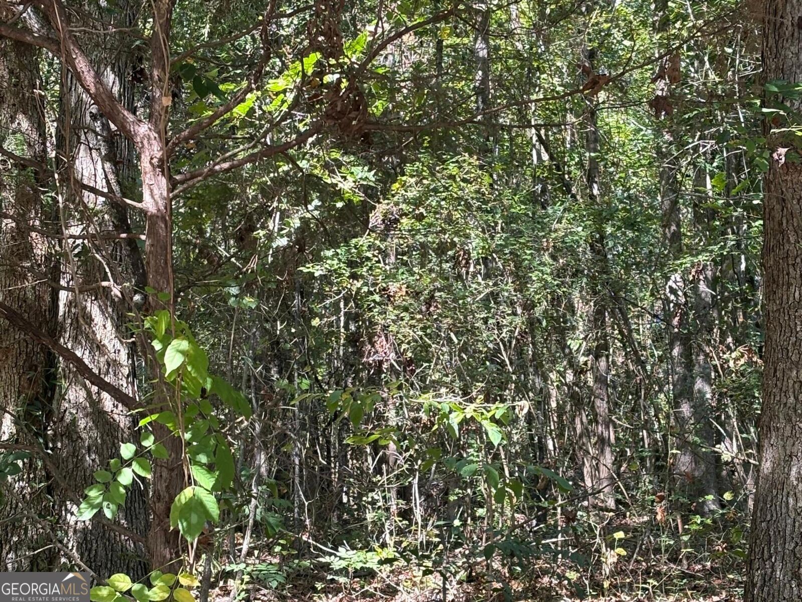 Property Photo: 0 Old Greensboro Road GA 30669