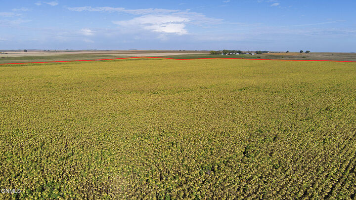 Property Photo:  On County Rd 37  ND 58571 