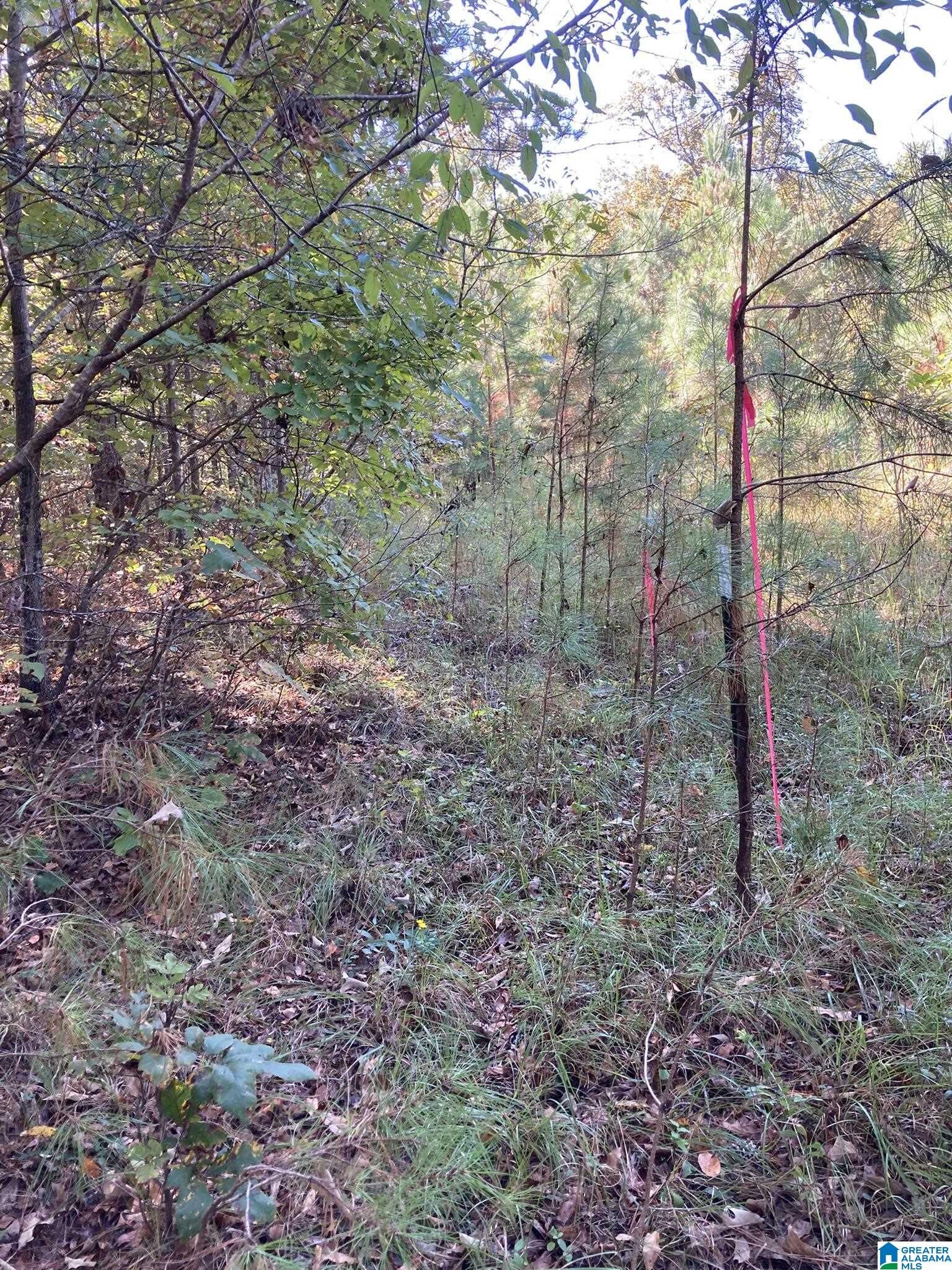 Property Photo: 39 Spotted Horse Trail None AL 35160