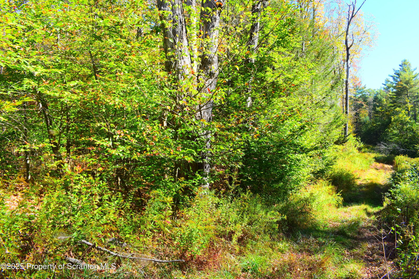 Property Photo: Westwoods Road Road PA 18812