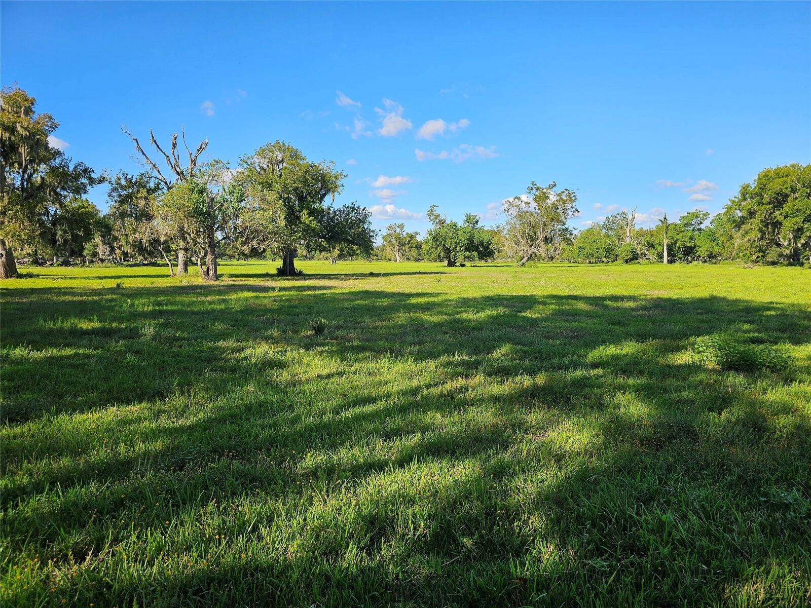 Property Photo: 0 Cr-506 TX 77422