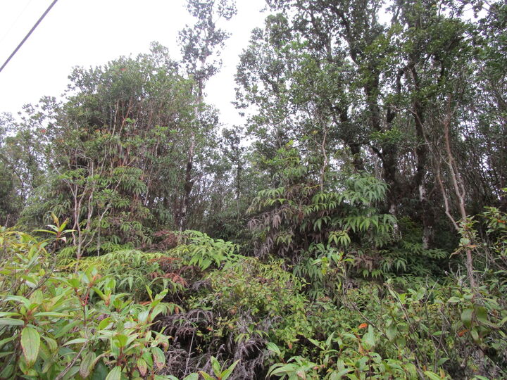 Property Photo:  Road 1 (Uhini Ana)  HI 96760 