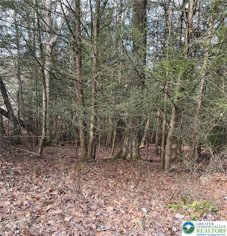 Property Photo: 2287 Locust Ridge Road 5 PA 18347