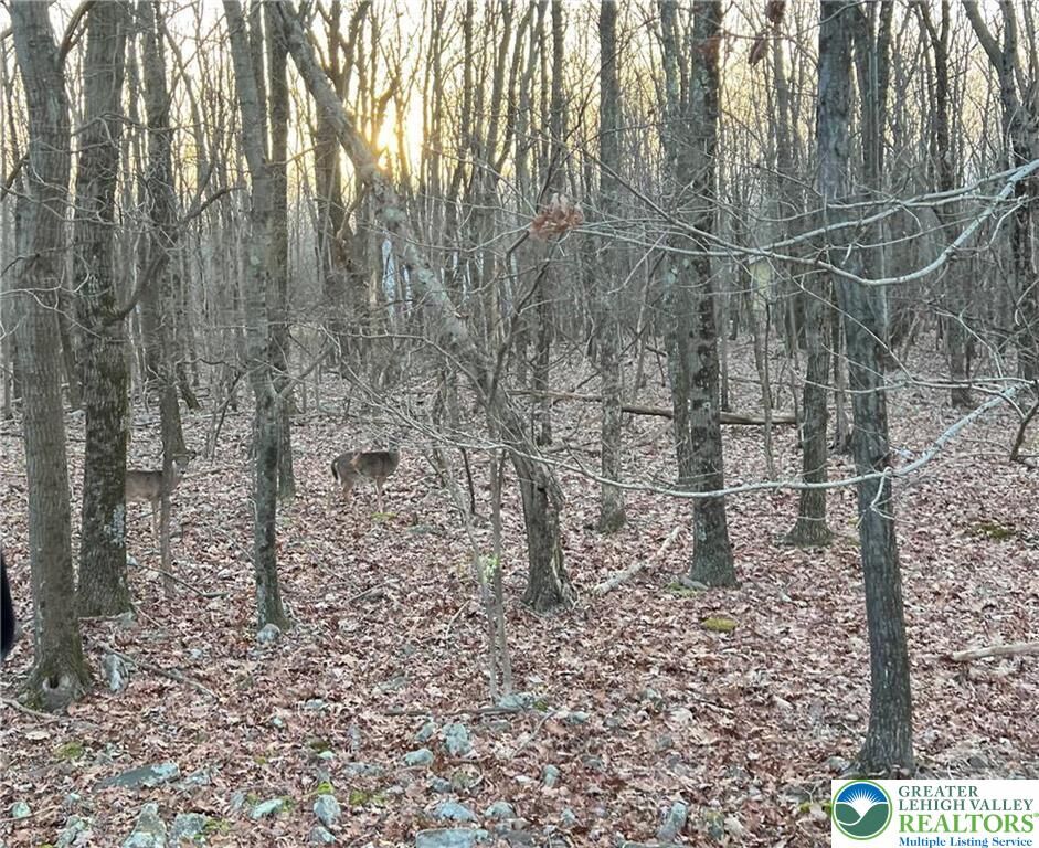 Property Photo: 36 Occoquan Trail PA 18210