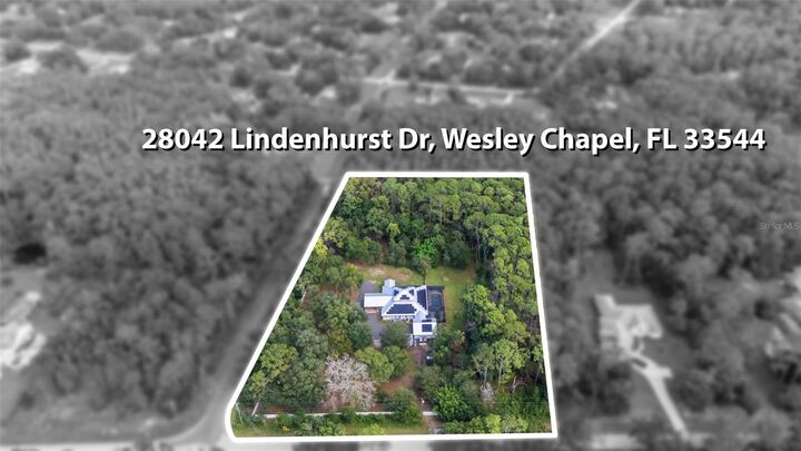 Property Photo:  28042 Lindenhurst Drive  FL 33544 