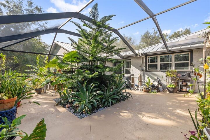 Property Photo: 28042 Lindenhurst Drive FL 33544