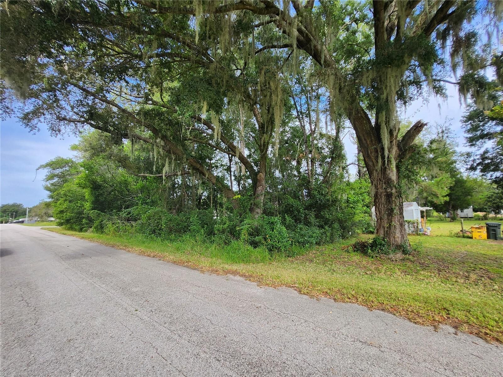 Property Photo: Tbd SE 40 Court FL 34491