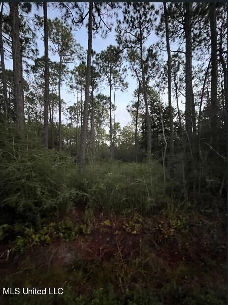 Property Photo:  0 18th Street  MS 39571 