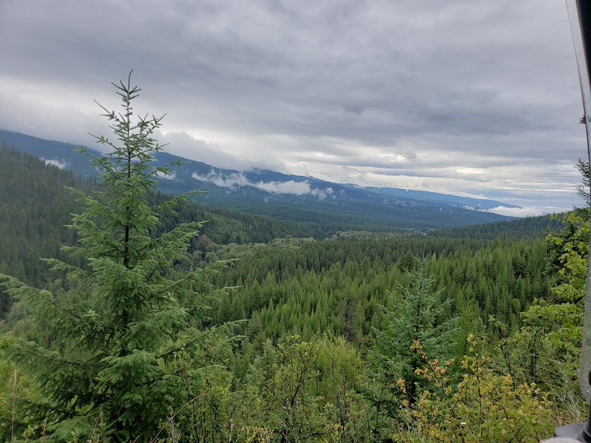 Property Photo:  Lot 22 Nine Mile Road  MT 59846 