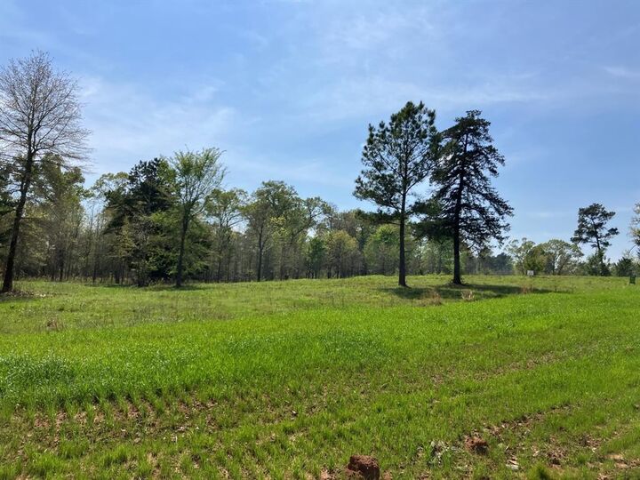 16730 Ridgeline Loop  Winona TX 75792 photo