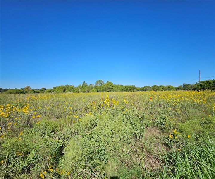 Property Photo:  Lot 29 Phillips Court  TX 76234 