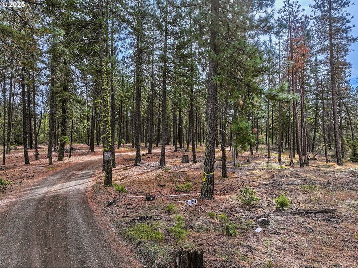 Property Photo:  68 Matola Rd  WA 98620 