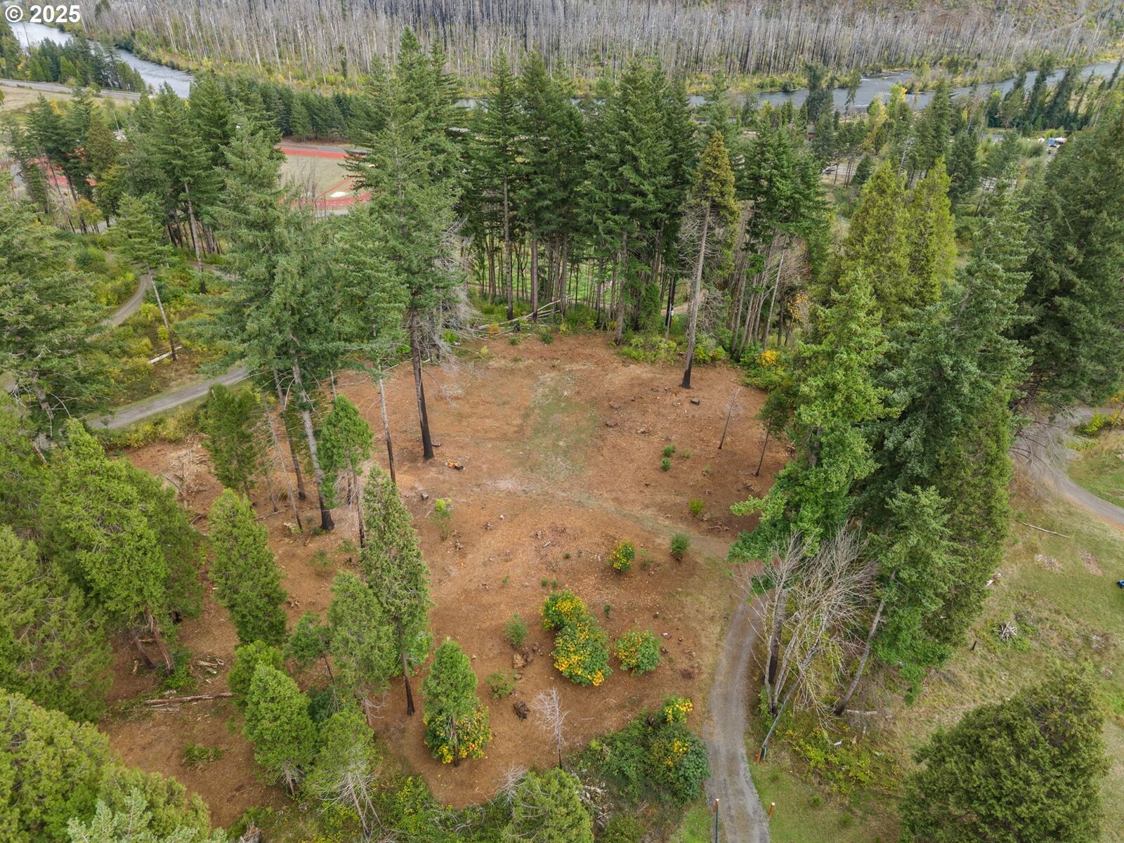 Property Photo:  51209 Blue River Dr  OR 97488 