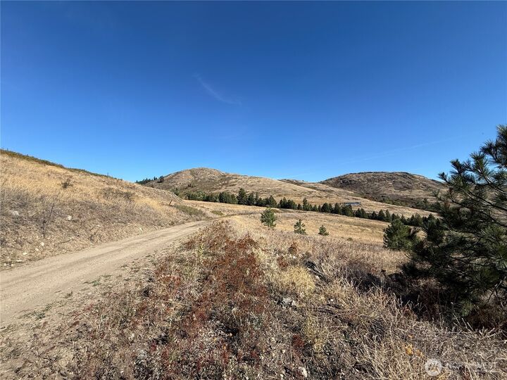 Property Photo:  0  Honeysuckle Lane  WA 99118 