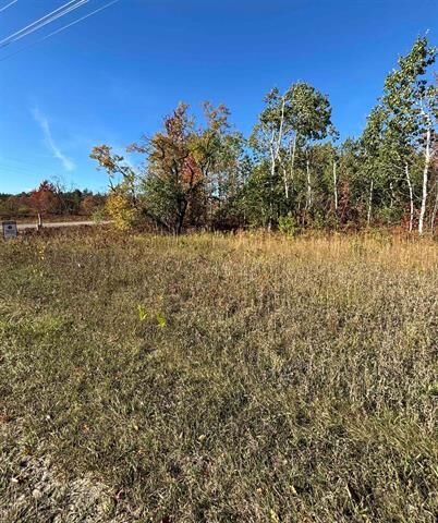Lot 1200 Thornton Drive  Mancelona Twp MI 49659 photo