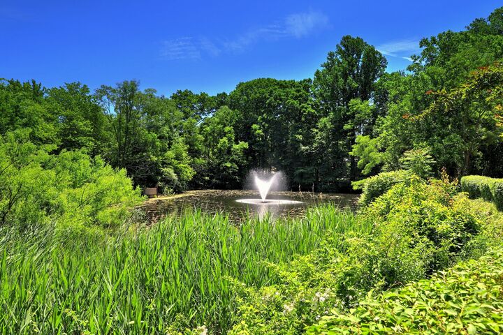 Property Photo: 690 Forest Road 702 CT 06516