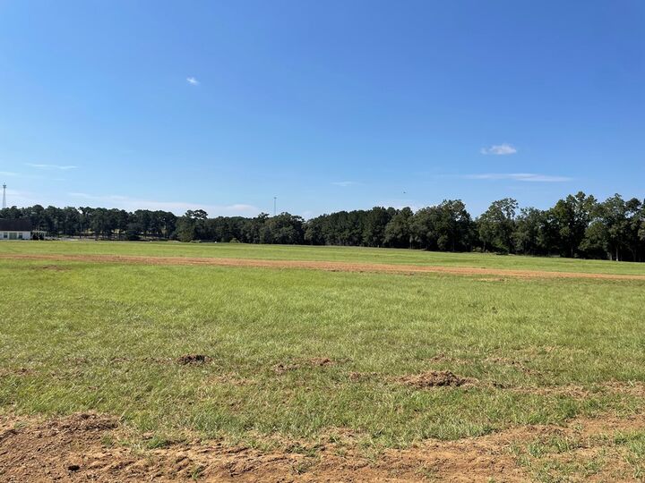 Property Photo:  Parcel 2 Iris Road  AL 36301 