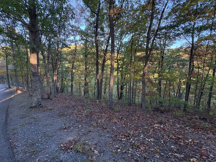 Lot 41 Wildwood Ridge  Caldwell WV 24925 photo