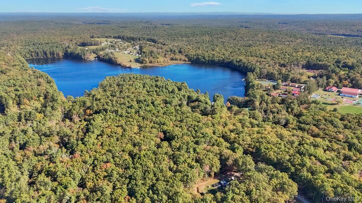 Property Photo: 55 Ozeriany Road NY 12719