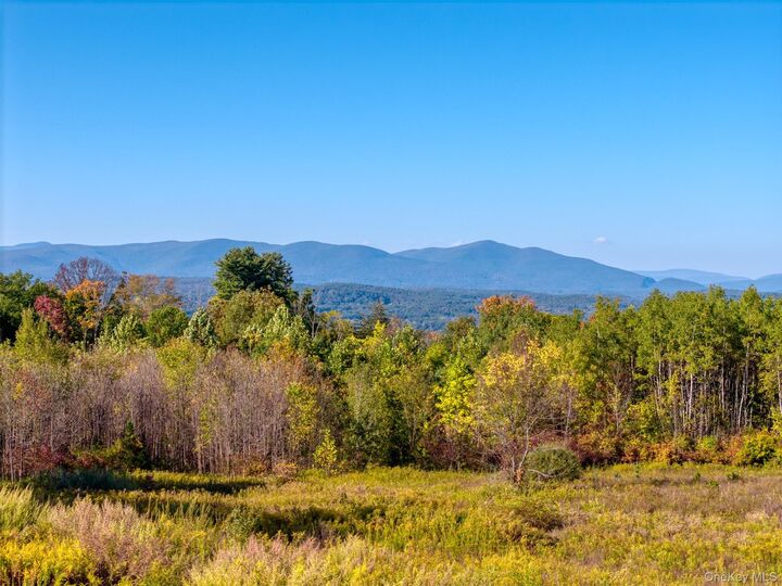 Property Photo: 5883 Route 44 55 NY 12446