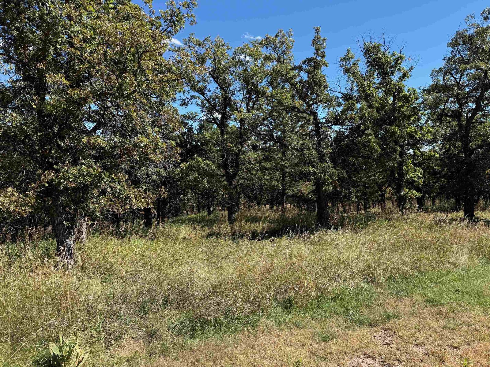 Property Photo:  Lot 24 Ridgefield Loop  SD 57783-8807 