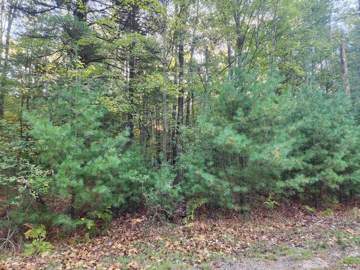 Property Photo: 6842 White Pine Drive MI 49346