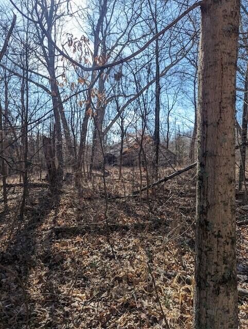 Property Photo:  0 Fishing Creek Road  KY 41040