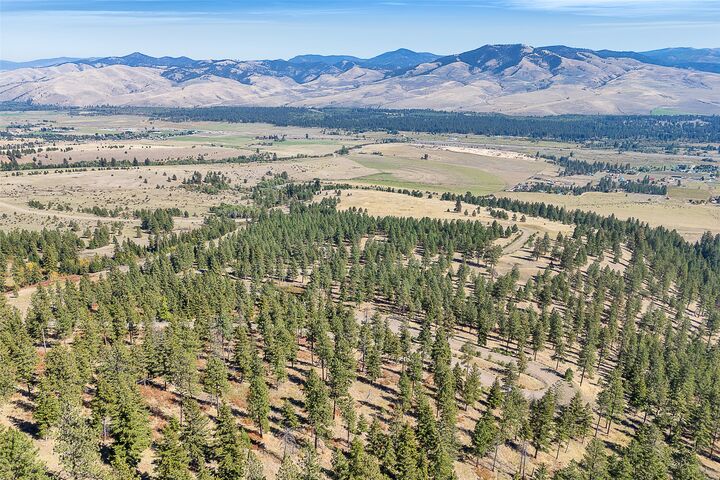 Property Photo:  000 Elk Mountain Reserve  MT 59833 