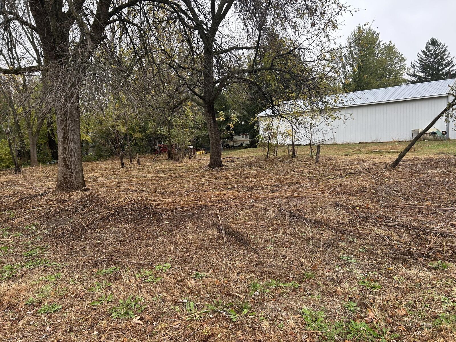 Property Photo:  Tbd 266th St &Amp 539th Ave  MN 55950 