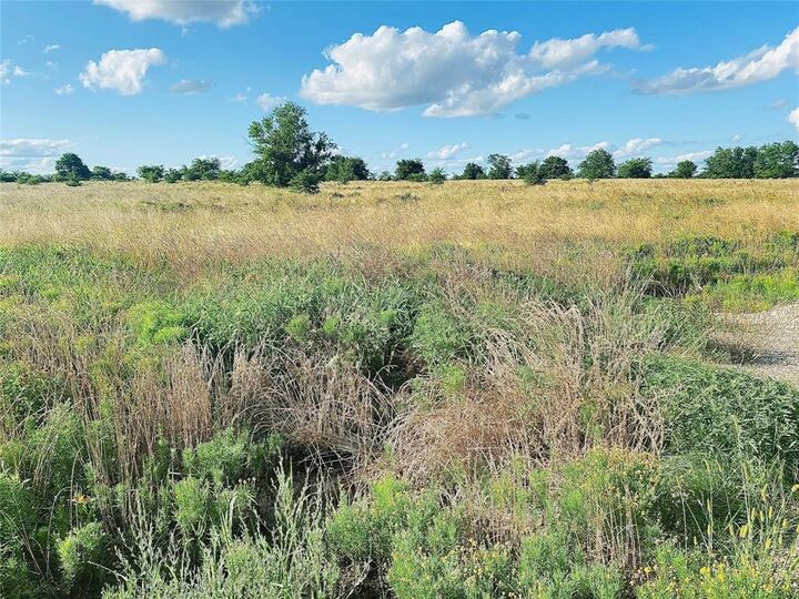 Property Photo: 2653 Farm Road 2653 TX 75482