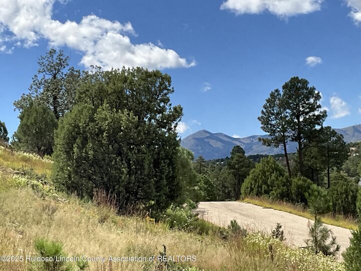 Property Photo:  Lot 88 Stable Road 3  NM 88312 