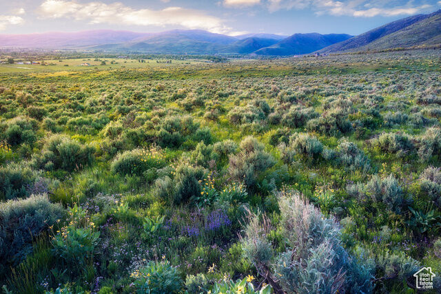 Property Photo: 1115 E Hoyt Peak Ranch Rd 4 UT 84036