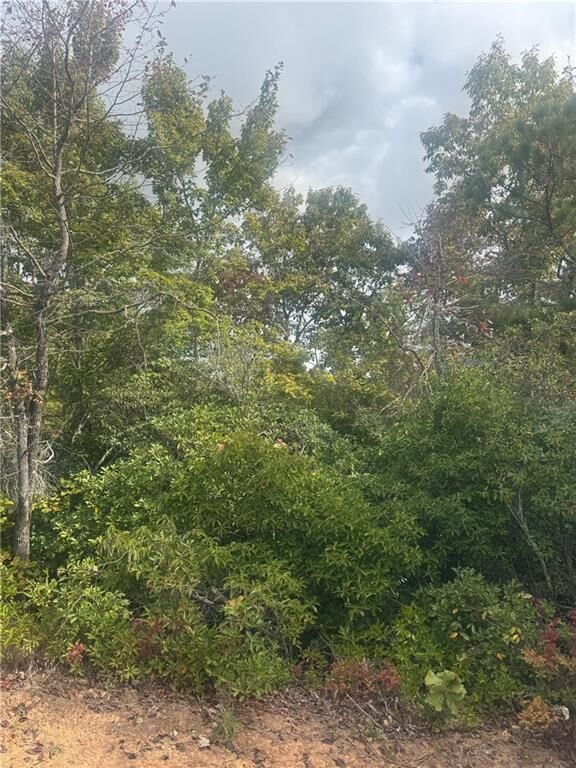 Property Photo: Lot 16 Brown Hawk Drive GA 30525