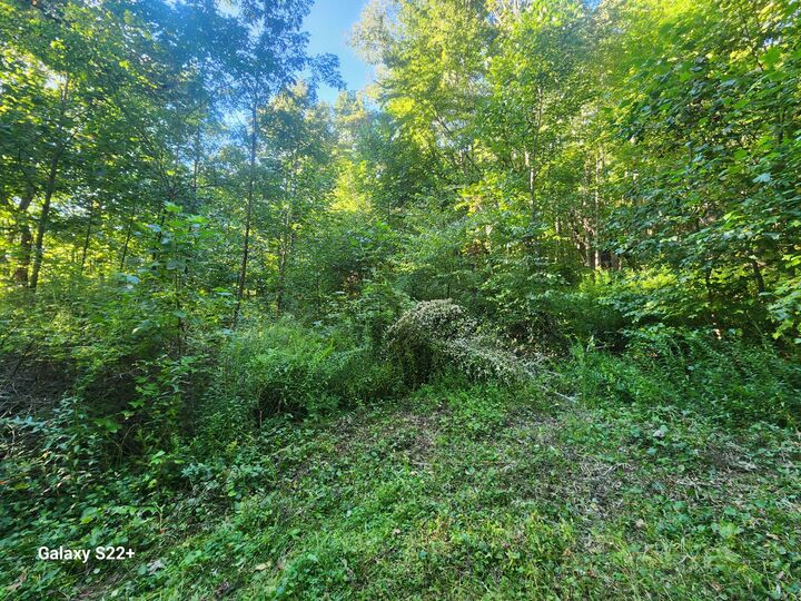 2 Ac 2 Ac Off Midland Trl W Rupert,  Rupert WV 25984 photo