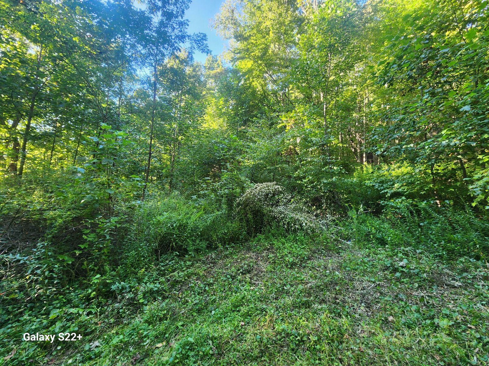 Property Photo: 2 Ac 2 Ac Off Midland Trl W Rupert, WV 25984