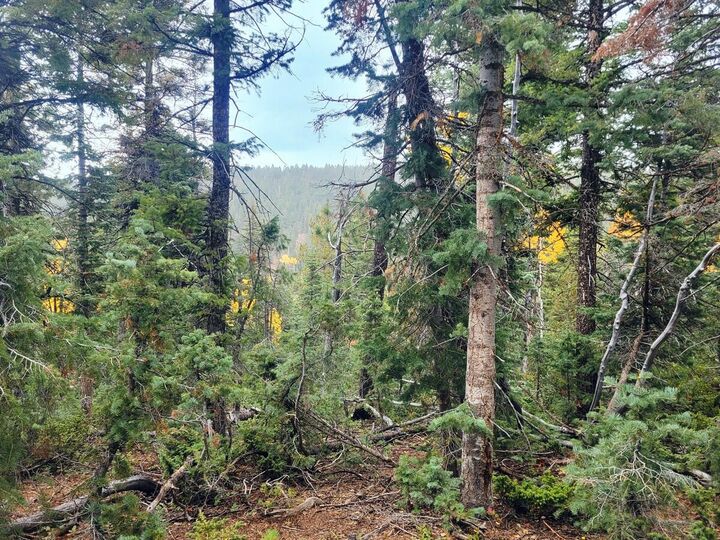 Property Photo:  45 S Quakie Place  UT 84762