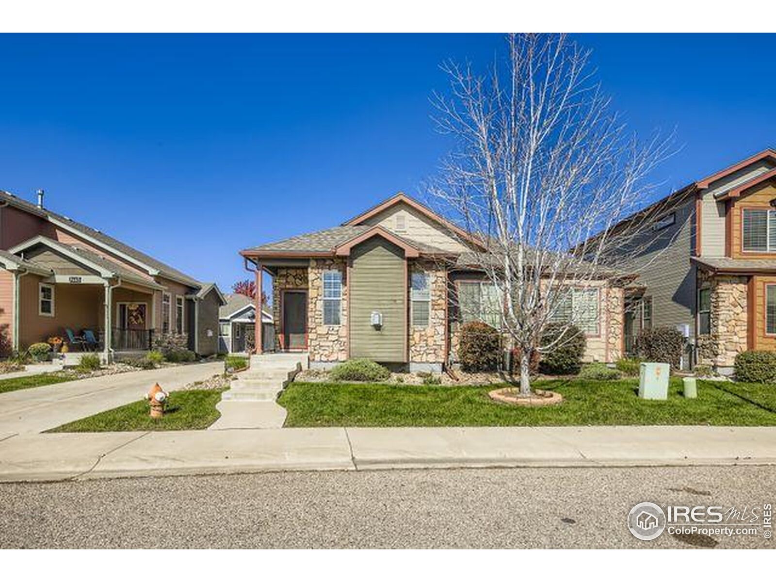 Property Photo:  3453 Rhea Dr  CO 80537 