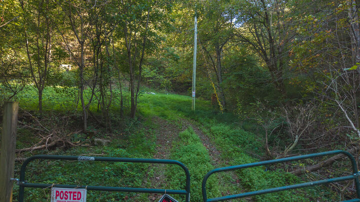Property Photo:  69.26 Acre Wolfe Road  TN 37869 