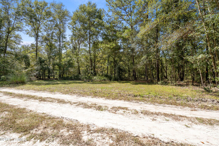 Property Photo: 469 Evangelist Drive SC 29916