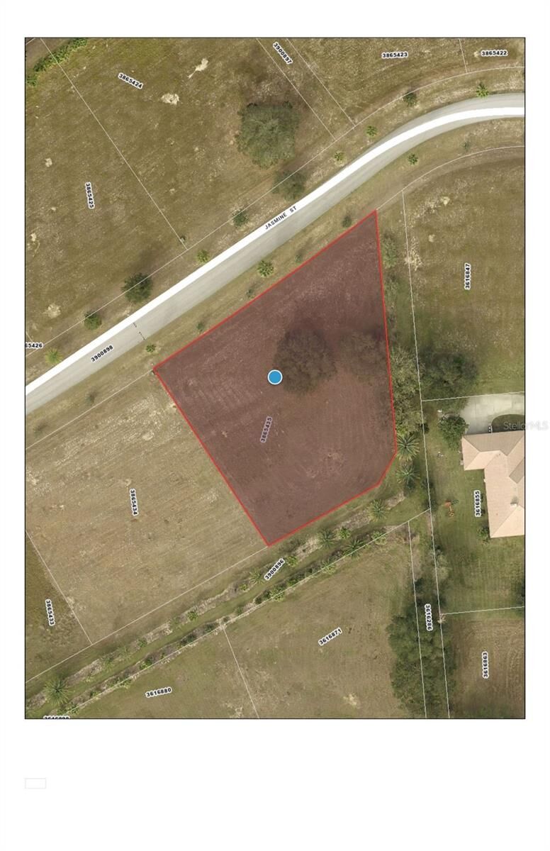 Property Photo: 7434 Jasmine Street FL 34736